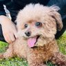 活塞打桩销魂夜's profile picture