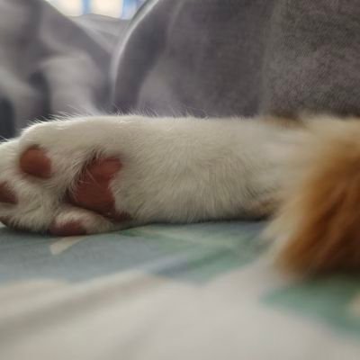 涟漪's profile picture