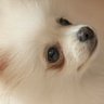 Louise. profil fotoğrafı