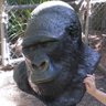 A.R. profil fotoğrafı