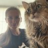 Kentlisa profil fotoğrafı