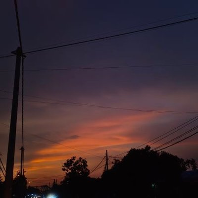 arra's profile picture