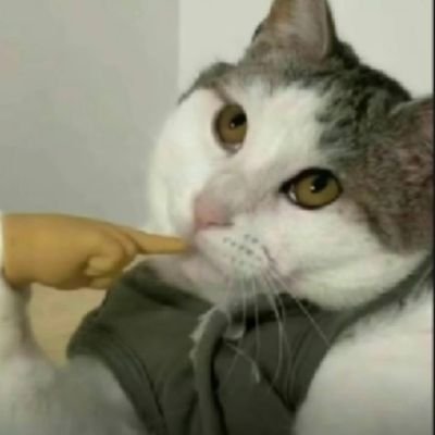 UndefeatedGo's profile picture