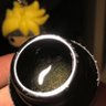 Onyx 的头像