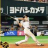 にた's profile picture