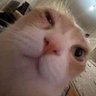 Riccardo66's profile picture
