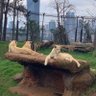 Kidus 的头像