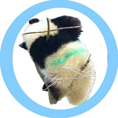 ぴよZOO's profile picture
