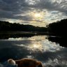 Patriotswimmer's profile picture