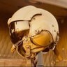 Roberto Rodriguez's profile picture