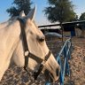 Фото профиля علي الجليدان
