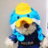 弥助🐦 profil fotoğrafı