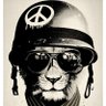 Фото профиля John Connor