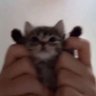 Looly profil fotoğrafı