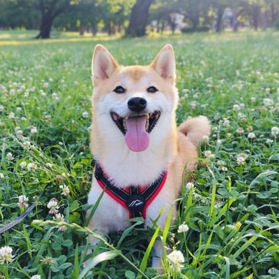 E1C2G07OHz39365's profile picture