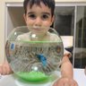 francisco 🩻 profil fotoğrafı