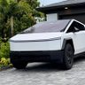 teslajake's profile picture