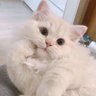 ................. profil fotoğrafı