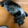 たか profil fotoğrafı