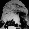 Selin Celik's profile picture
