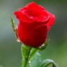 Umeshraow K's profile picture