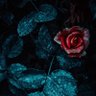 Фото профиля The