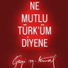 Yadigar Şirin Çebi 的头像