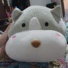 triiyuu's profile picture