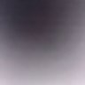Bosco's profile picture