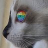 Profilbild von toniquin