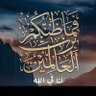 حمزه حمزه 6 的头像