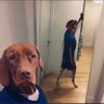 Фото профиля K9