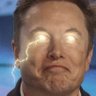 Melon Husk's profile picture