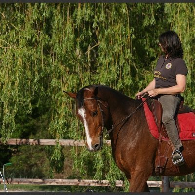 Cyberdéesse🌼's profile picture