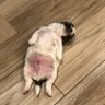 Profilbild von stefun