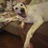 Enrica profil fotoğrafı