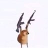 المجاهدة's profile picture
