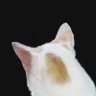 yngyoong ๐ฟ แดทแดฐ profil fotoฤrafฤฑ