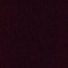 Social worker's profile picture