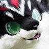 Astera the Fluffy Fox @ FWA 2025!!'s profile picture