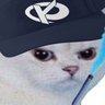 Profilbild von KC Kylky