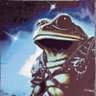 frank's profile picture