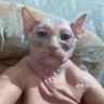 Kinort1's profile picture