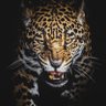 DESI ROOTS's profile picture