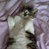 おさむ profil fotoğrafı