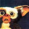Stvsez's profile picture