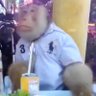 Junior 🇲🇽 🐝 ⚪️🟣 的头像