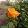 Фото профиля .