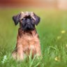 G@noproblem.com profil fotoğrafı