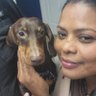Gloria O'Reilly's profile picture